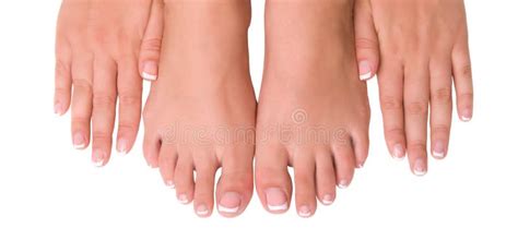 Beautiful Female Feet And Hands Stock Image Image Of Healthy Hands