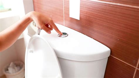 Different Types Of Toilet Flush Systems Lucid Plumbing