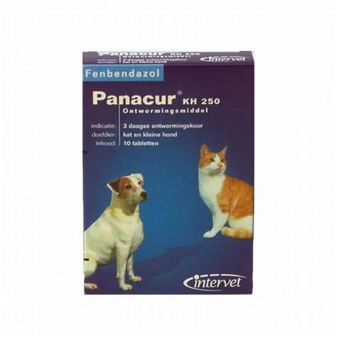 Is Panacur C Safe For Cats Diy Seattle