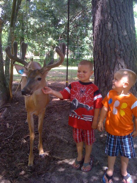 Louisiana Trophy Whitetail Petting Zoo For You Or Your