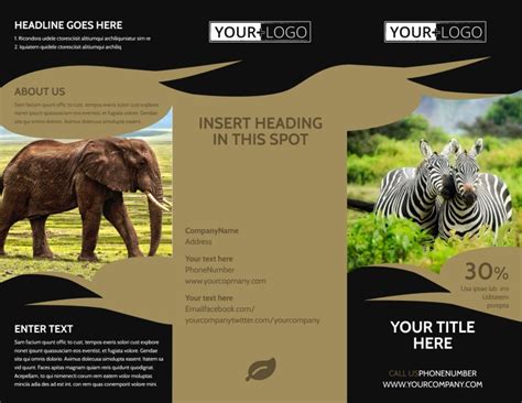 African Safari Brochure Template Mycreativeshop