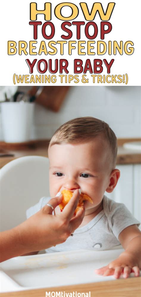 How To Start Weaning Your Baby And Stop Breastfeeding Momtivational