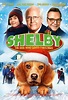 Shelby (2014) - FilmAffinity
