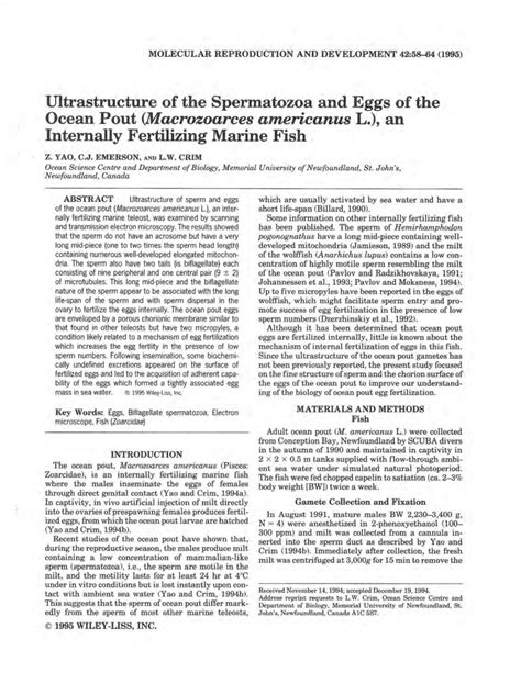 Pdf Ultrastructure Of The Spermatozoa And Eggs Of The Ocean Pout