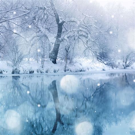 Winter Snowfall Ipad Air Wallpaper Download Iphone