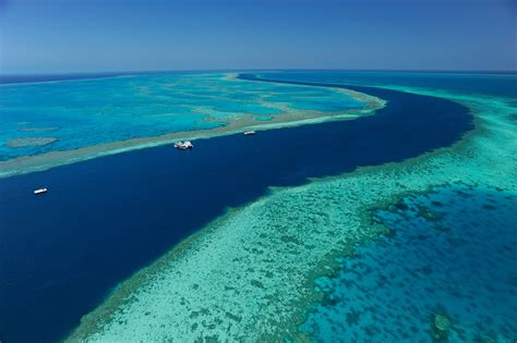 Australia pledges $58 million for Great Barrier Reef | SBS News
