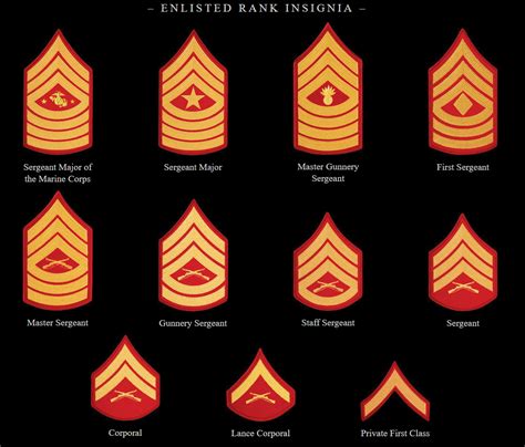 Master Sergeant Staff Sergeant Army Badges Lance Corporal United