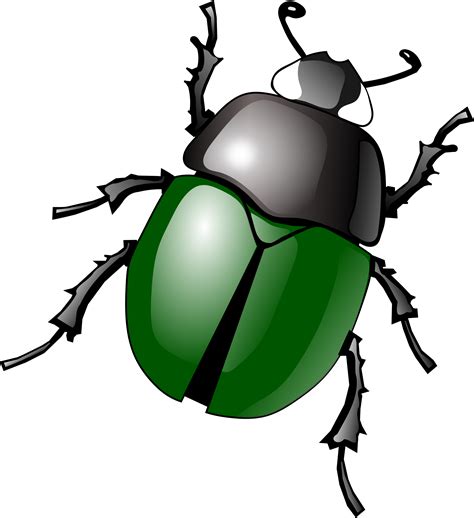 Bug Clipart Transparent Background Clip Art Library