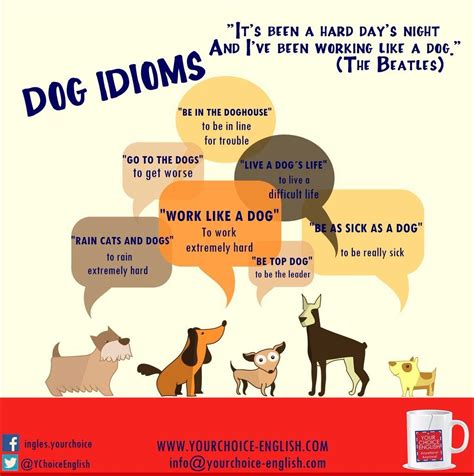 Dog Idioms With Images English Idioms Idioms Teaching Idioms