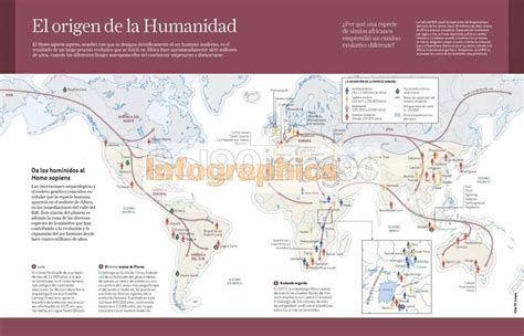 Infografía El Origen De La Humanidad Infographics90