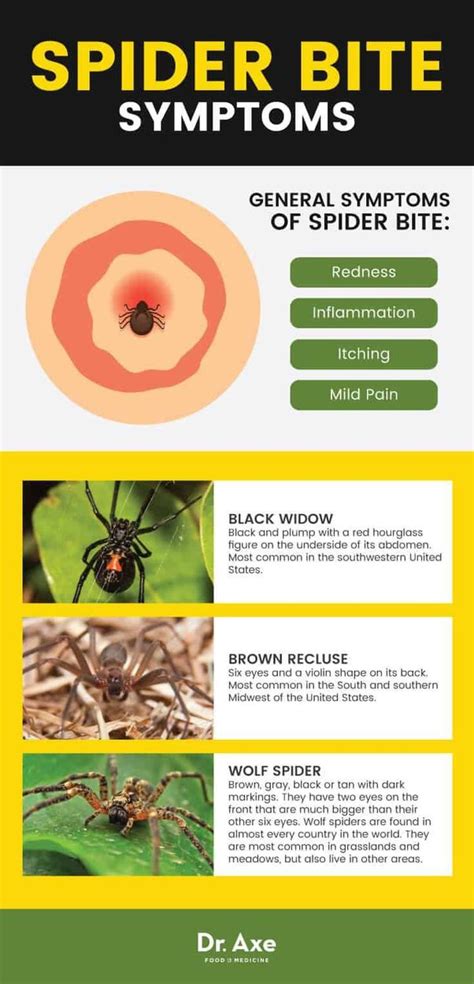 What Happens If A Brown Recluse Bite Goes Untreated Quora