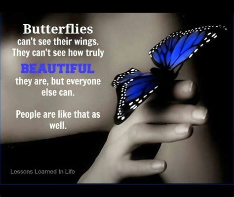 Rediscover Yourself Butterfly Transformation Get Toned Lessons