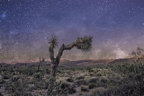 A Starry Night In Joshua Tree National Park The Desert Sky Is