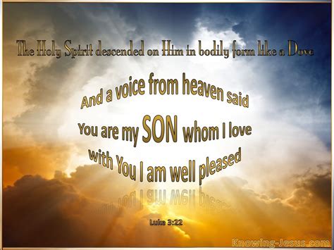 Luke 322 You Are My Beloved Son Gold