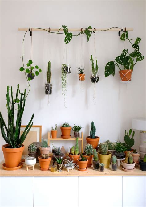 Wall hanging ideas for classrooms. DIY hanging plant wall with macrame planters | Indoor ...