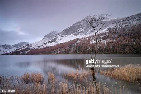Buttermere Winter Photos And Premium High Res Pictures Getty Images