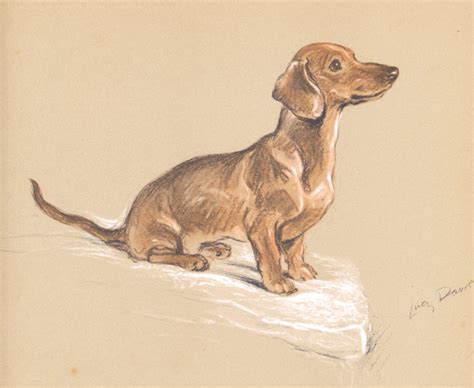 Dachshund Antique Prints Pictures And Art