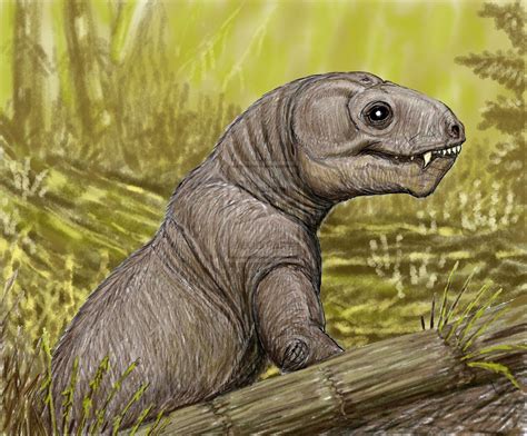 Discover the family tree of dimitri bogdanoff ostasenko for free, and learn about their family history and their ancestry. DiBgd's deviantART Gallery | Prehistoric animals, Paleo ...