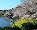 千代田區 10 大最佳旅遊景點 - Tripadvisor