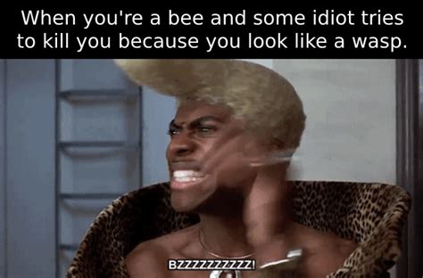 Roses Are Red Violets Are Blue If You Fuck With The Bees Im Coming For You Album On Imgur