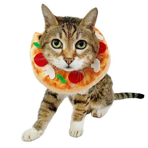 Pizza Cat Costume Hyde And Eek Boutique Target Pet Halloween