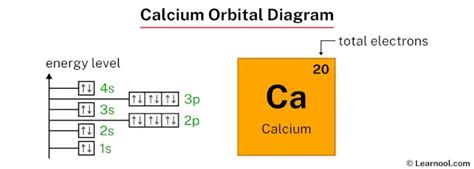 Calcium Orbital Diagram Learnool