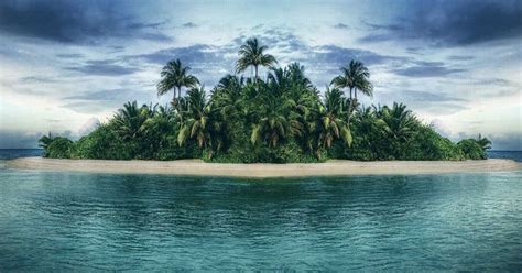 Will You Survive On A Deserted Island Island Survival Island