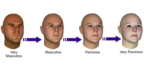 Computers Can Now Accurately Judge How Masculine Or Feminine Your Face Is