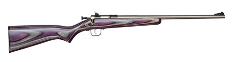 Buy Keystone Sporting Arms Crickett 22lr Sspurple Lam Blue Receiver W