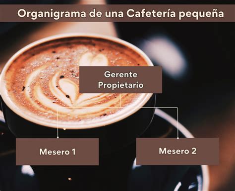 Organigrama de una Cafetería Funciones y Ejemplos