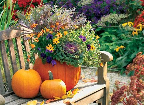 Fall Pumpkin Planter What Do You Get When You Combine Your Favorite