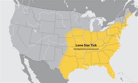 Some Surprising And Comforting News About Ticks The East Hampton Star