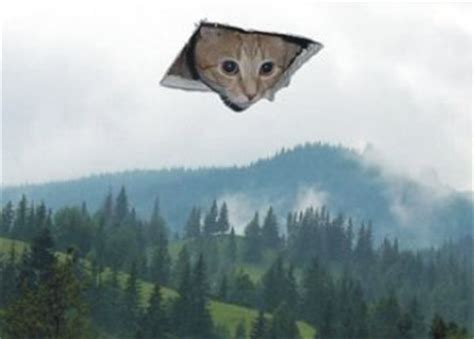 Ceiling cat on wn network delivers the latest videos and editable pages for news & events, including entertainment a synonym for lolcat is cat macro, since the images are a type of image macro. Image - CEILING CAT.jpg | Protector of a Light Wiki ...