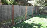 Welded Wire Fence Posts Images