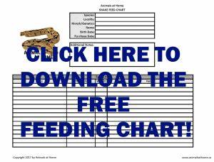 Boa Constrictor Feeding Chart Free Pdf Animals At Home