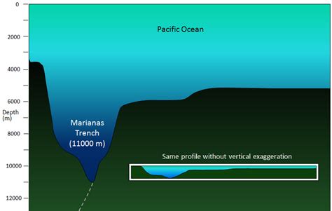 181 The Topography Of The Sea Floor Physical Geology