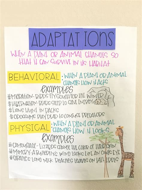 Animal Adaptations Anchor Chart Adaptations Science Science Anchor