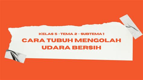 BAGAIMANA CARA TUBUH MENGOLAH UDARA BERSIH Tematik 5 Tema 2