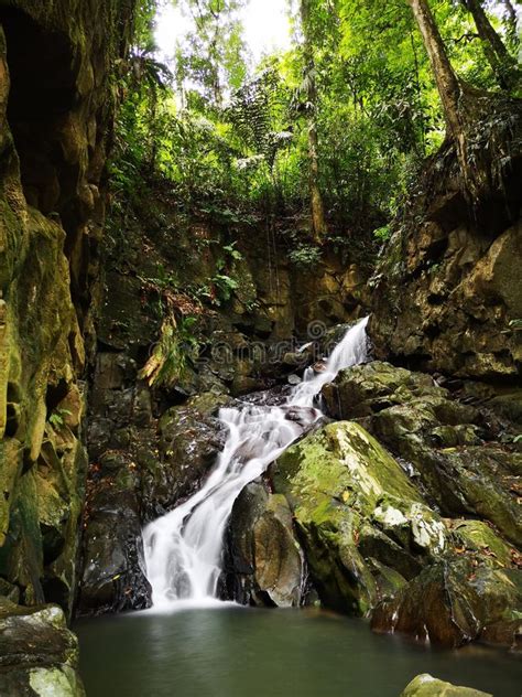 Beautiful Silky Smooth Waterfall Stream In The Rainforest Sabah