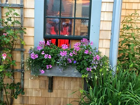 Designsandevents Nantucket Window Boxes