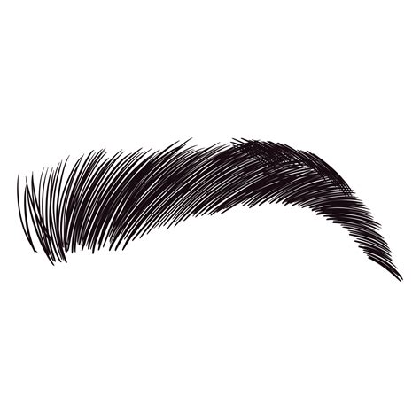 Eyebrow Png Transparent Images Png All