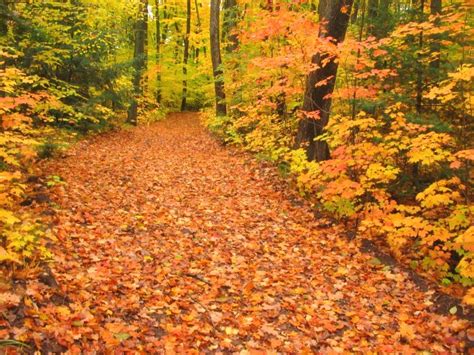 Fall Color Season Set To Unfold Beautifully ~ Friends Of Wisconsin