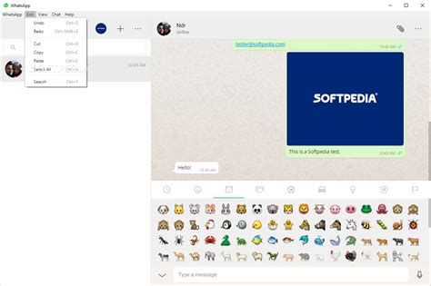 More than 112536 downloads this month. Download WhatsApp for PC 0.3.3793.0