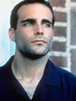 Brian Bloom (Roman Sionis/ Black Mask) Actors Male, Celebrities Male ...