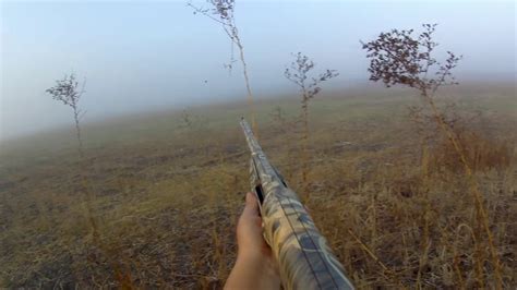 Dove Hunting In Thick Fog Youtube