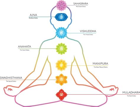 the 7 chakras of the human body chakra chakra meditat