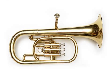12 Different Types Of Tubas Explained Verbnow 42 Off