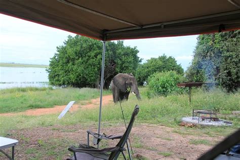 Ihaha Campsite Bewertungen And Fotos Chobe National Park Botswana