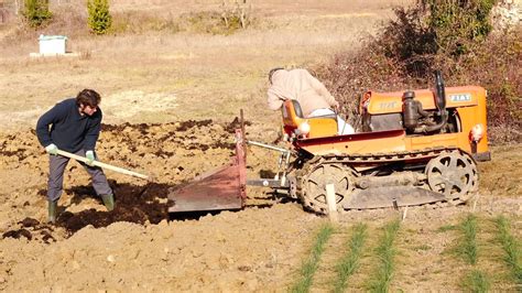Uno dei modi più semplici per rendere il suolo più acido è aggiungere la torba di sfagno. Come preparare il terreno e concimare - YouTube