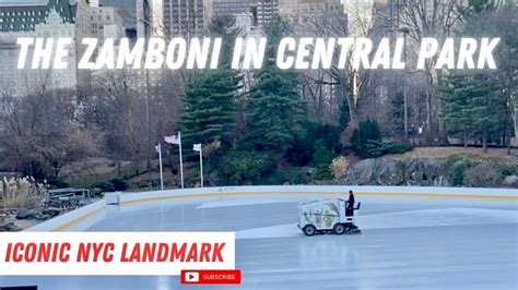 The Zamboni In Nyc Central Park Ice Rink Youtube